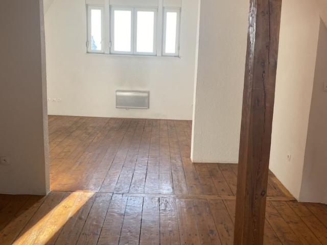 Location Appartement 2 pièces 68m² WISSEMBOURG 67160