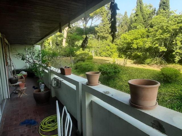 Location appartement 2 pièces 13009 Marseille