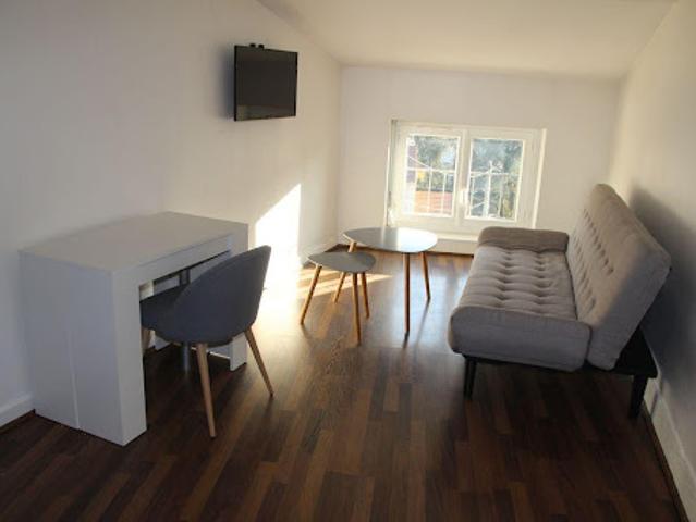 Location Appartement 2 pièces 25 m2 Saint Etienne