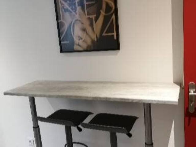 Location Appartement 2 pièces 26 m2 Saint Etienne