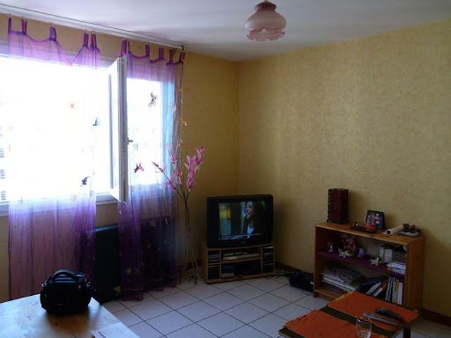 Location Appartement 2 pièces 28 m2 Grenoble