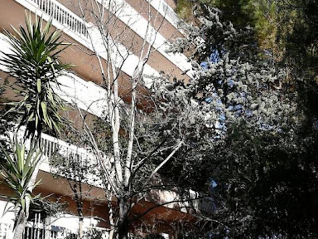 Location Appartement 2 pièces 28 m2 Montpellier