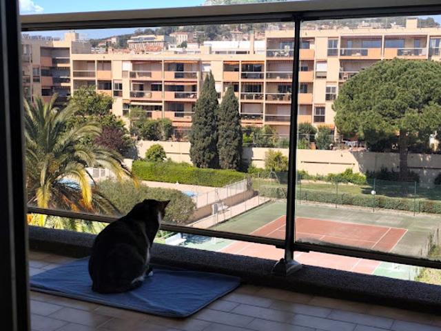 Location Appartement 2 pièces 29 m2 Hyeres