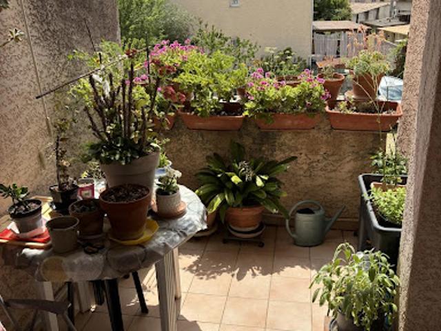 Location Appartement 2 pièces 30.2 m2 Saint Florent