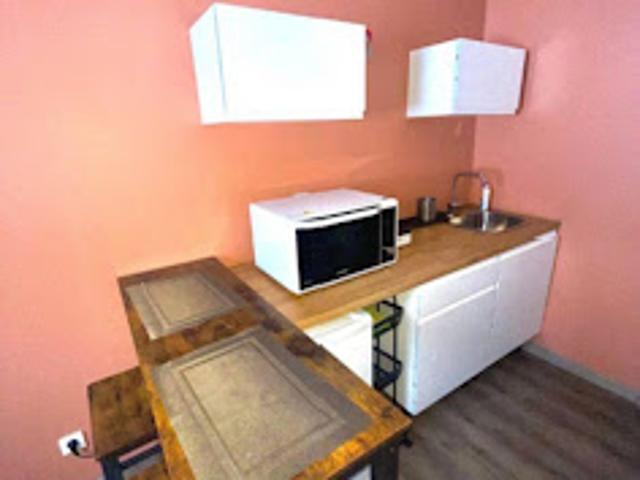 Location Appartement 2 pièces 30 m2 Saint Etienne