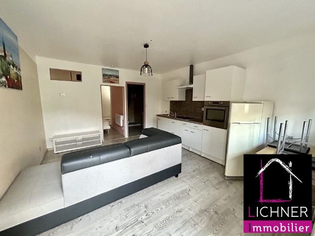 Location Appartement 2 pièces 30m² CREUTZWALD 57150