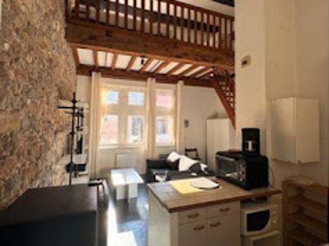 Location Appartement 2 pièces 31 m2 Lyon 2ème