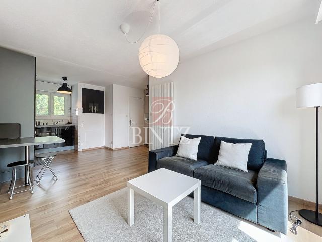 Location Appartement 2 pièces 34m² STRASBOURG 67000