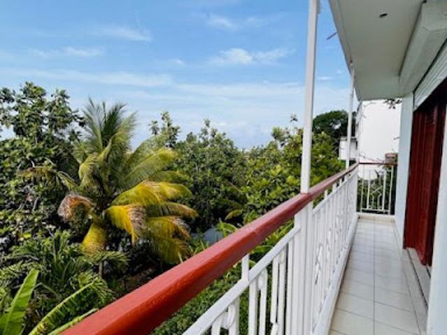 Location Appartement 2 pièces 35.45 m2 Pointe a pitre