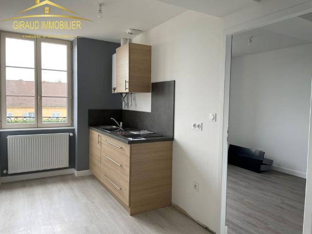 Location Appartement 2 pièces 35m² MARCIGNY 71110
