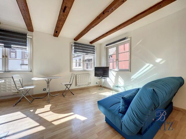 Location Appartement 2 pièces 36m² STRASBOURG 67000
