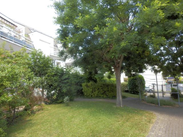 Location Appartement 2 pièces 38m² STRASBOURG 67000