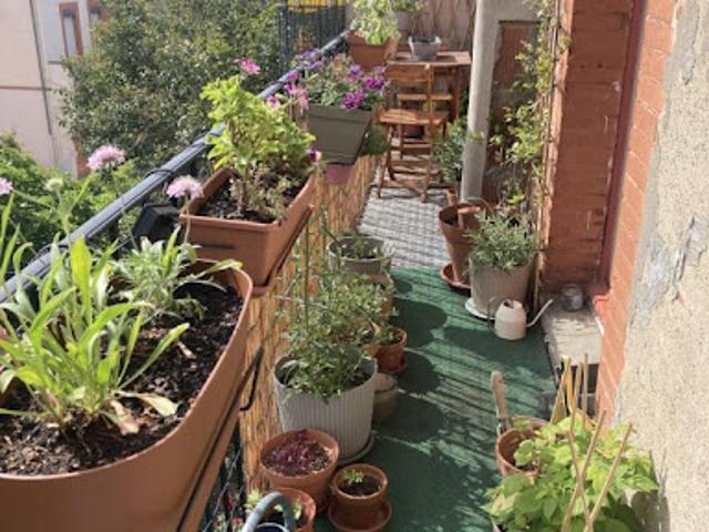 Location Appartement 2 pièces 39 m2 Toulouse