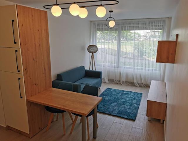 Location Appartement 2 pièces 39 m2 Lyon 8ème