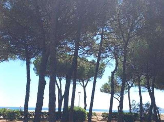 Location appartement 2 pièces Argelès sur Mer 66