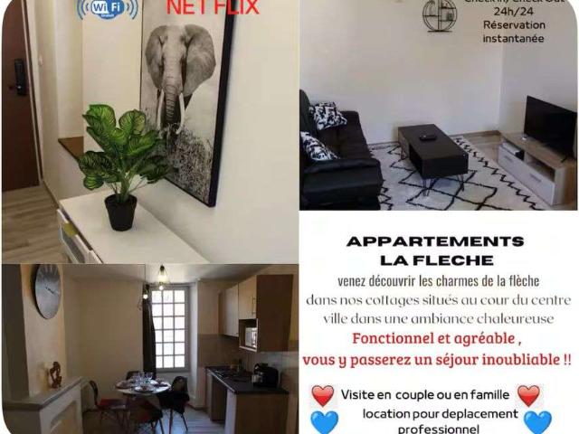 Location appartement 2 pièces La Flèche 72