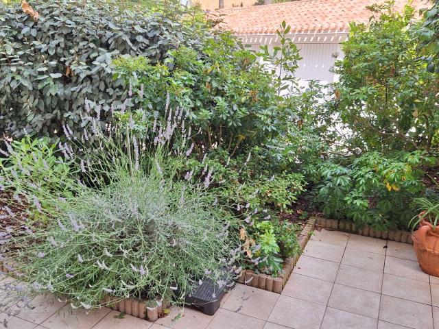 Location appartement 2 pièces Les Sables d'Olonne 85