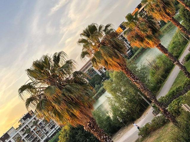 Location appartement 2 pièces Montpellier 34