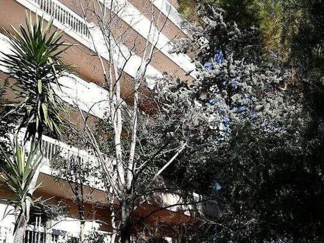 Location appartement 2 pièces Montpellier 34