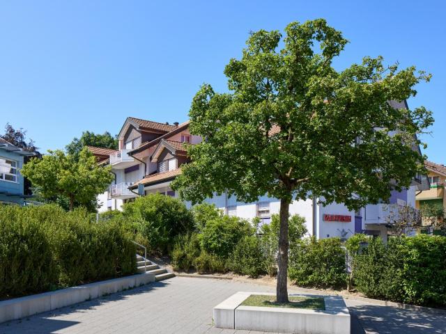 Location Appartement 2.5 pièces CHF 1'420. /mois 62 m2 | immobilier.ch
