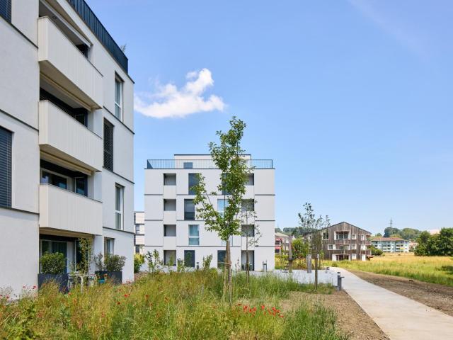 Location Appartement 2.5 pièces CHF 1'600. /mois 53 m2 | immobilier.ch