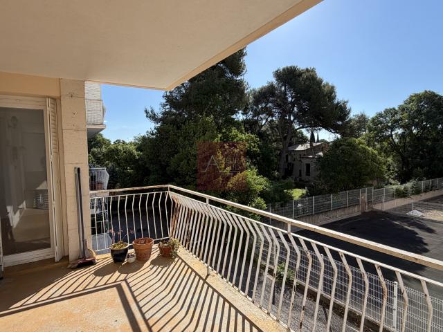 LOCATION APPARTEMENT 3 PIÈCE MEUBLÉ MONTPELLIER CENTRE LYCÉE JULES GUESDE