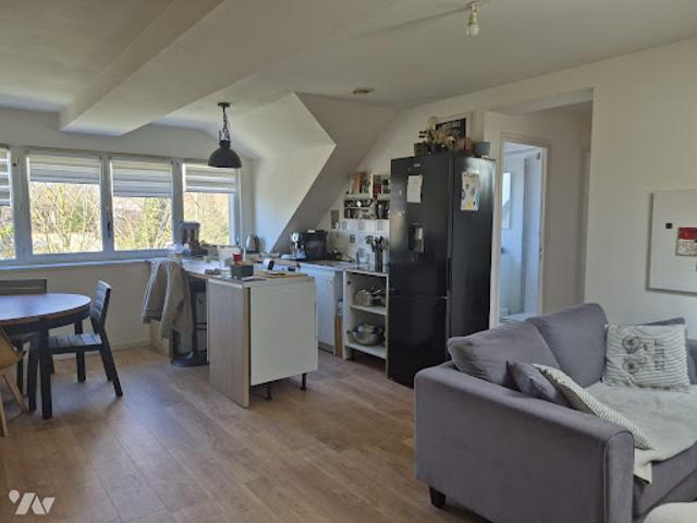 Location Appartement 3 pièces 41.5 m2 Marquise