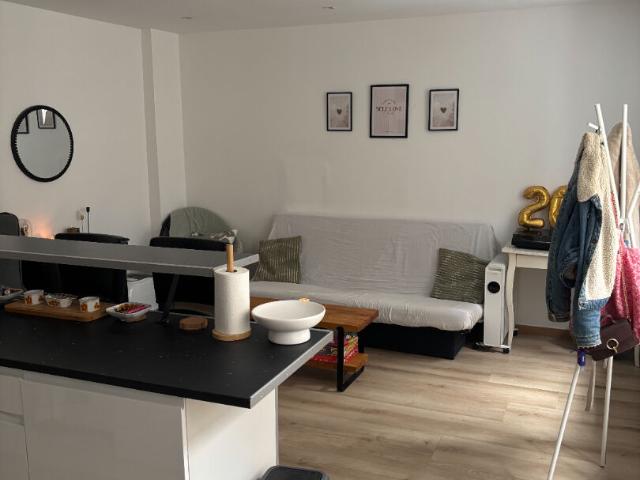 Location Appartement 3 pièces 46m² LILLE 59000