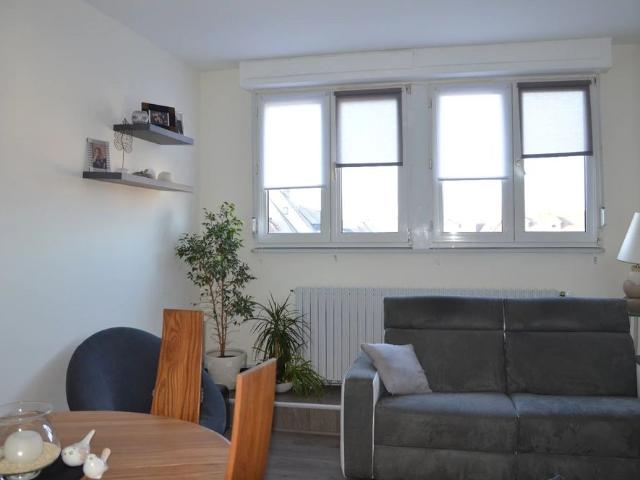 Location Appartement 3 pièces 53m² ALTKIRCH 68130