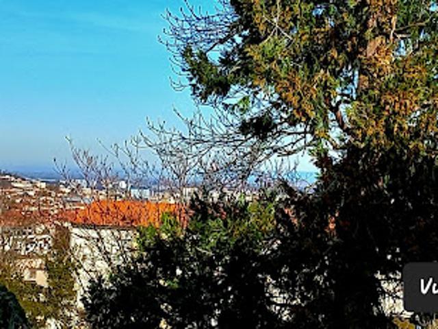 Location Appartement 3 pièces 50 m2 Chamalieres