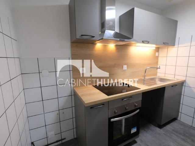 Location Appartement 3 pièces 50m² ST ETIENNE 42000