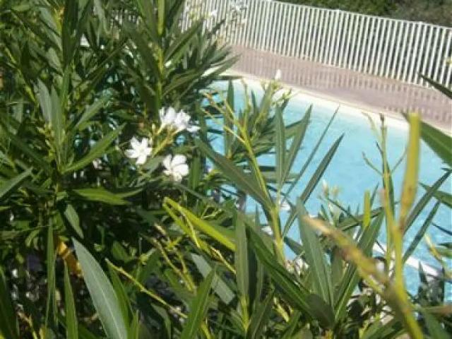 Location appartement 3 pièces 56m² à Verdun sur garonne 82600
