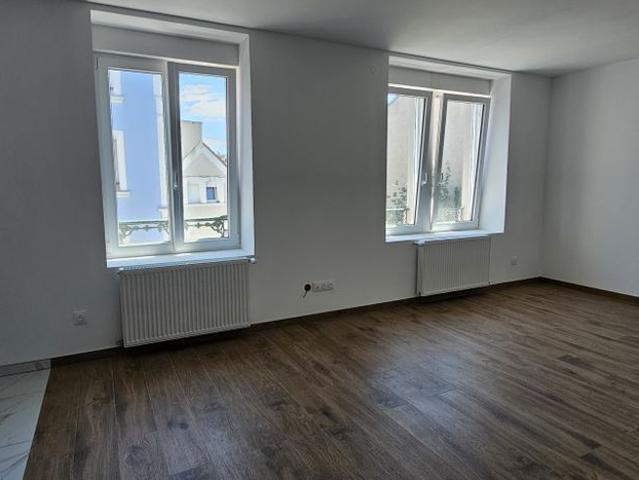 Location Appartement 3 pièces 63m² MULHOUSE 68100