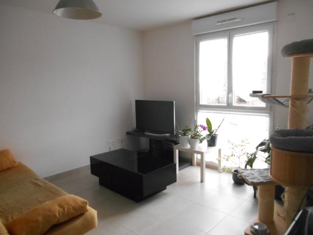 Location Appartement 3 pièces 62m²