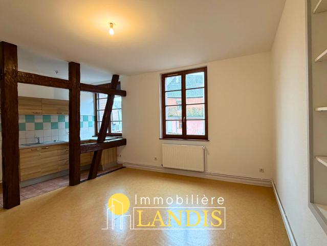 Location Appartement 3 pièces 64m² SELESTAT 67600