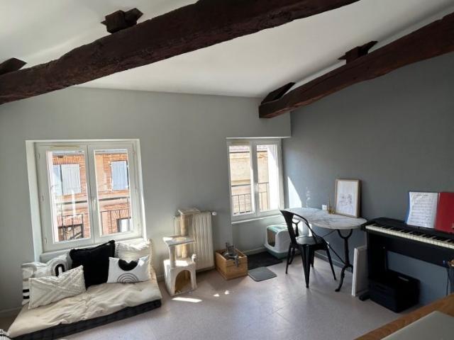 Location Appartement 3 pièces 65m² GAILLAC 81600