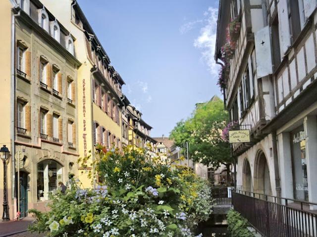 Location Appartement 3 pièces 75 m2 Colmar