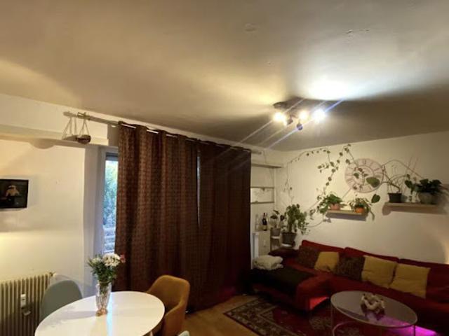 Location Appartement 3 pièces 80 m2 Strasbourg