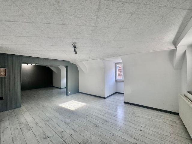 Location Appartement 3 pièces 93m² ROTHAU 67570