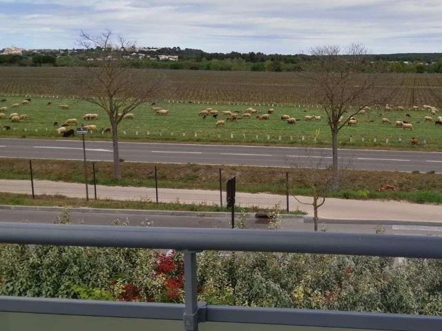 Location appartement 3 pièces Jacou 34