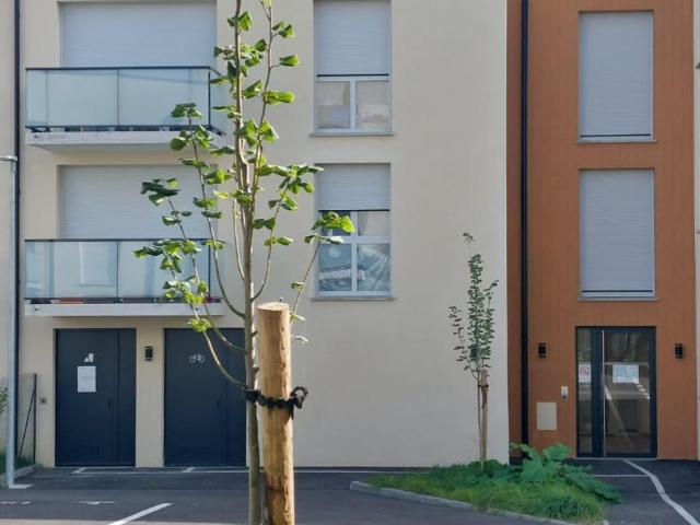 Location appartement 3 pièces RESSONS SUR MATZ 68m² à 773.68€/mois CDC Habitat