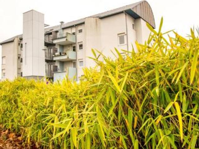 location appartement torcy 3 pièces 69 m2 saone et loire 71210 563 € / mois