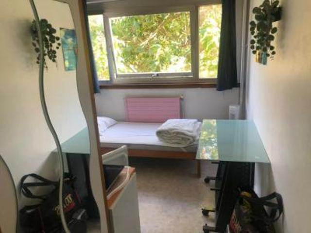 location appartement villeneuve d'ascq 1 pièce 11 m2 nord 59491 395 € / mois