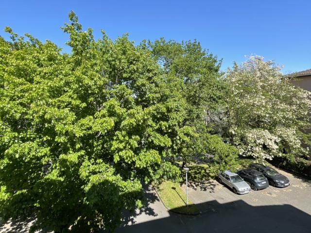 Location Appartement Allée des Sablettes, Launaguet