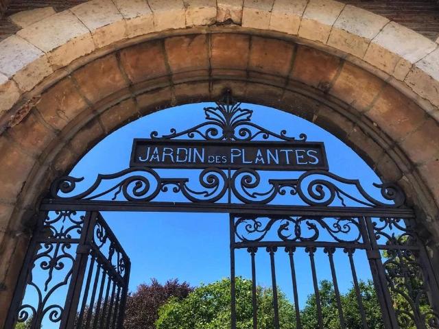 Location Appartement Allées Frédéric Mistral, Toulouse