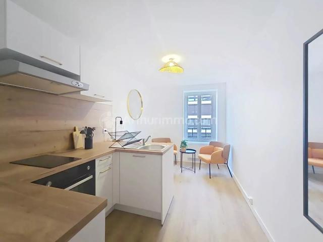 Location Appartement Ancien Chemin du Mont Dore à Clermont Ferrand, Chambon sur Lac