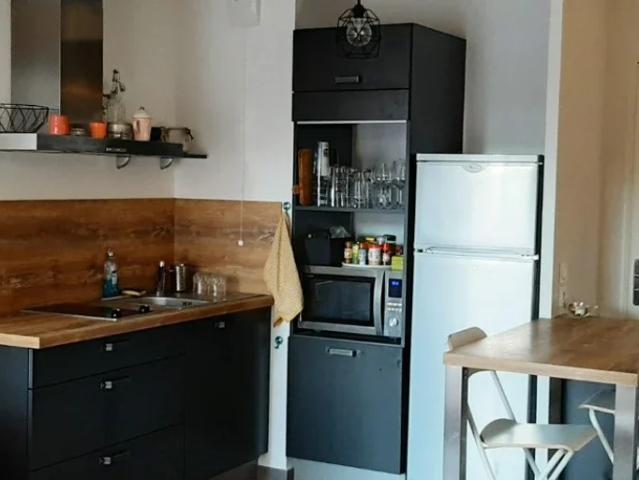 Location Appartement Avenue Camille Rousset, Bron