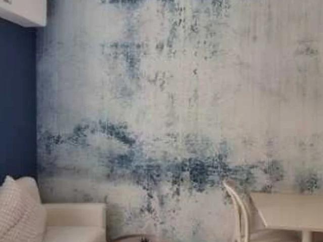 Location Appartement Avenue Berthelot, Lyon