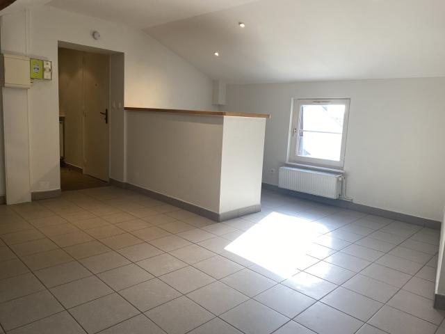 Location Appartement Avenue Berthelot, Lyon