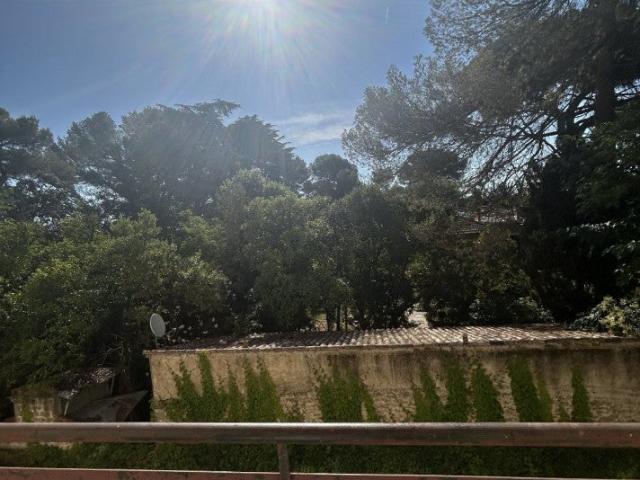 Location Appartement Avenue de Lodève, Montpellier